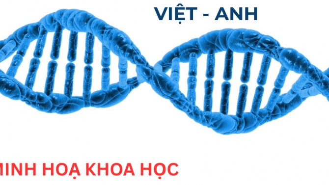 Dịch thuật t&agrave;i liệu chuy&ecirc;n ng&agrave;nh