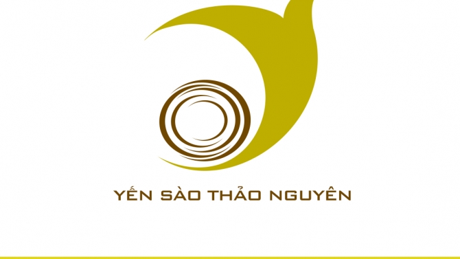 Thiết kế Logo