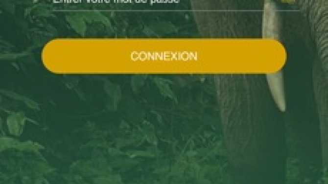 V&iacute; điện tử Cartomat