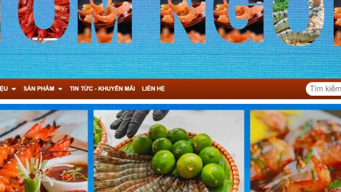 QUẢN TRỊ WEBSITE / SEO WEBSITE