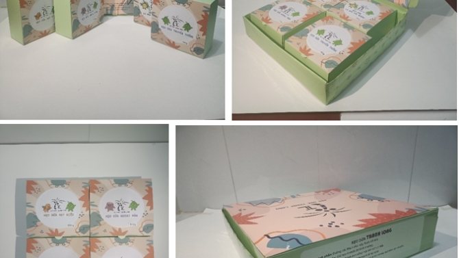Thiết kế bao b&igrave; kẹo dừa Bến Tre thương hiệu Thanh Long