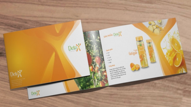 Thiết kế brochure