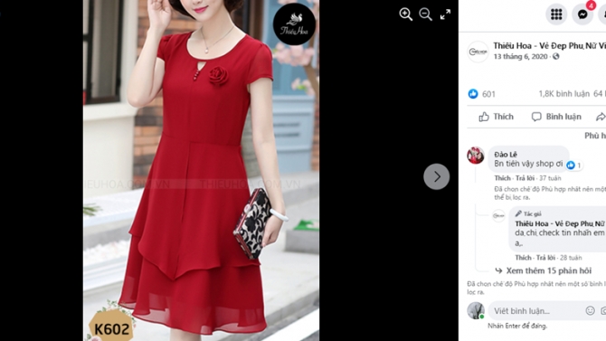 Quản l&yacute; Website, Fanpage, Facebook Ads c&ocirc;ng ty Thiều Hoa