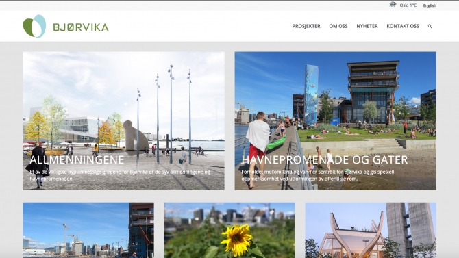 Website Bj&oslash;rvika