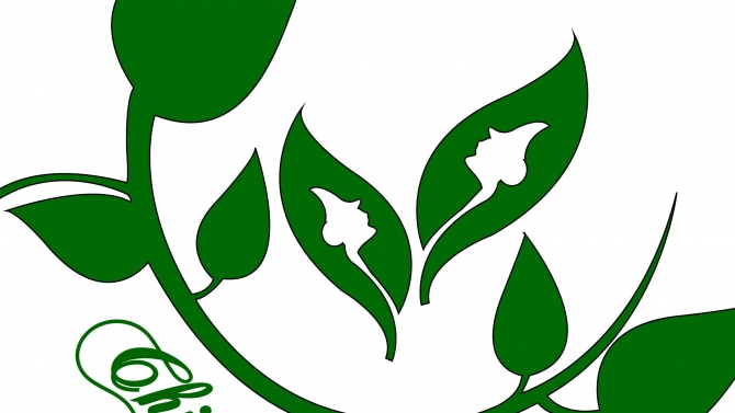 Thiết kế Logo