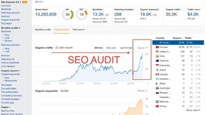 SEO Audit traffic tăng 200%