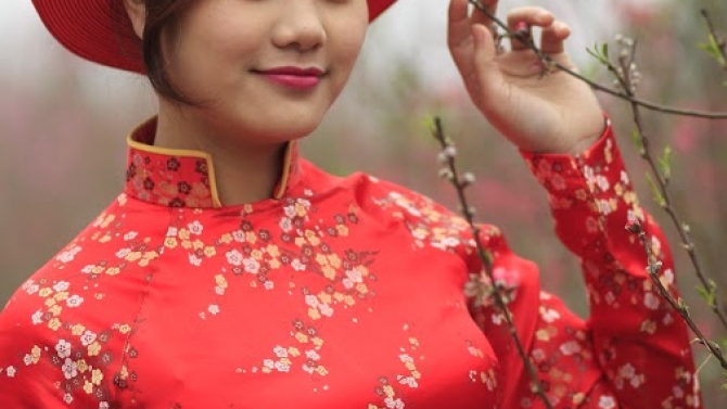 CTV H&agrave;nh ch&iacute;nh Nh&acirc;n sự, Gia sư, viết l&aacute;ch