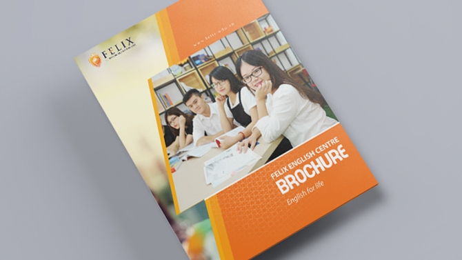 Thiết kế Brochure