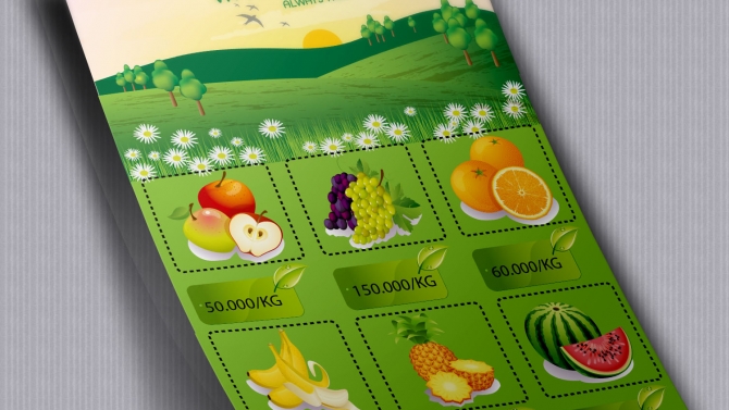 fruit flyer