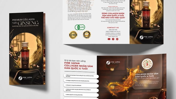 Thiết Kế Brochure