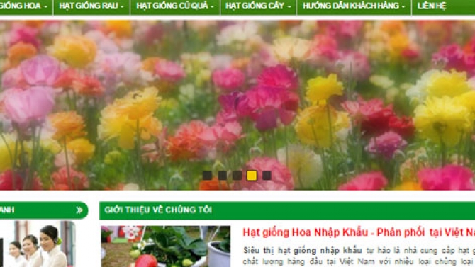 Mẫu website b&aacute;n hạt giống hoa đẹp v&agrave; tinh tế