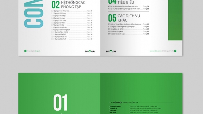 Bằng Linh profile