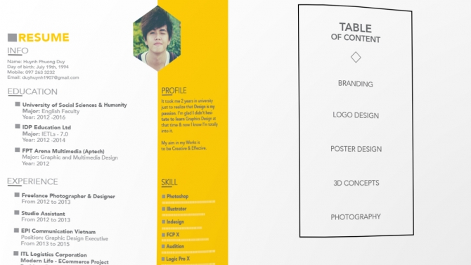 CV/Porfolio