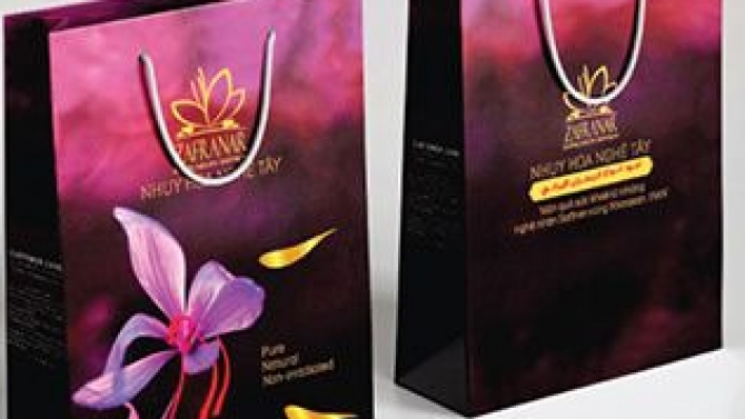 Shopping Paper Bag Design Creative