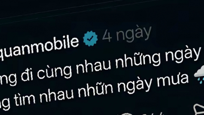 Nhập dữ liệu