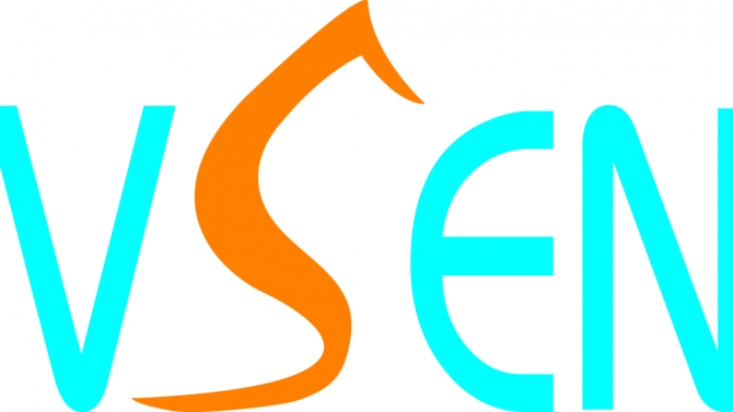 Logo VSEN