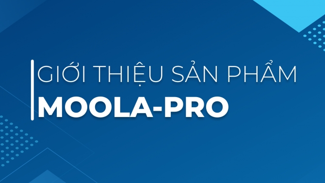 Thiết kế brochure sản phẩm
