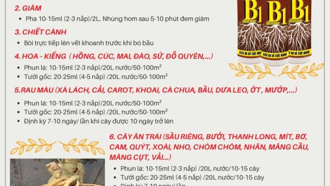 Chỉnh sửa h&igrave;nh ảnh v&agrave; nội dung sản phẩm Website