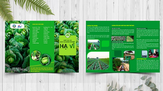 Thiết kế tờ gấp cho HỢP T&Aacute;C X&Atilde; DỊCH VỤ N&Ocirc;NG NGHIỆP HẠ VĨ
