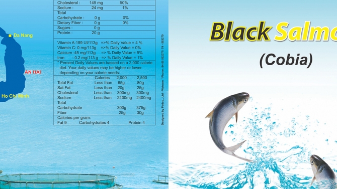 Thiết kế Catalog