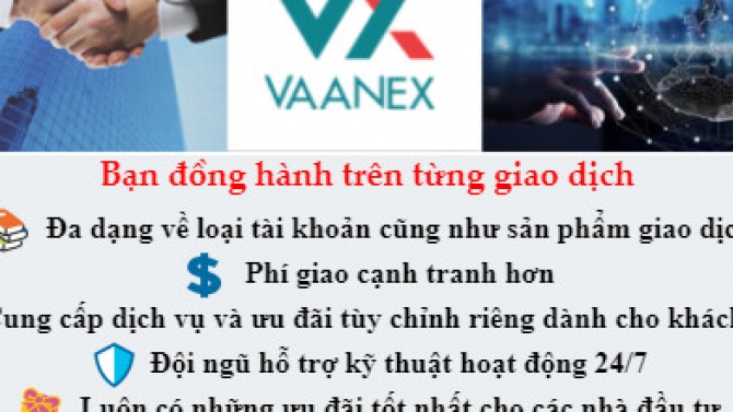tư vấn hỗ trợ đầu tư
