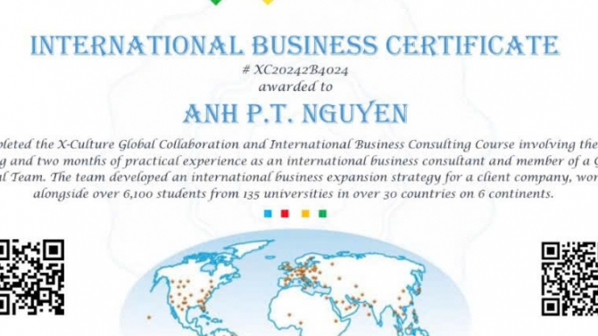 Independent Business Consultant - X-Culture Project