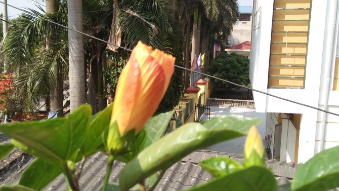 Chưa c&oacute; dự &aacute;n