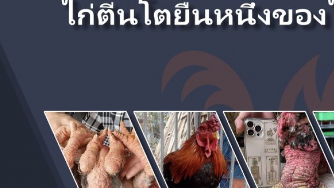 Sản phẩm c&aacute; nh&acirc;n