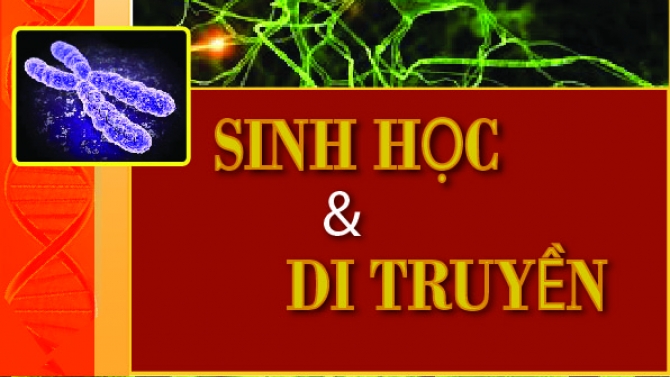 Thiết kế b&igrave;a s&aacute;ch