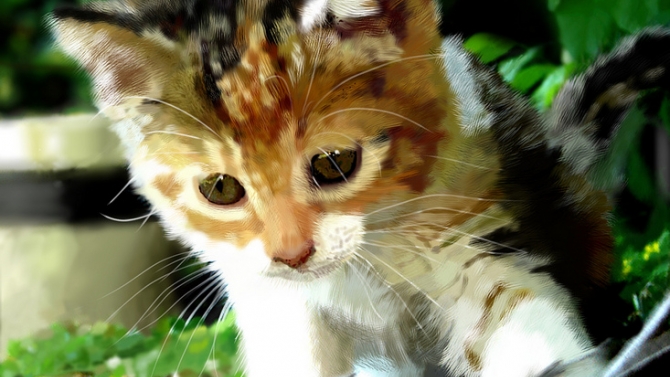 [Painting] M&egrave;o