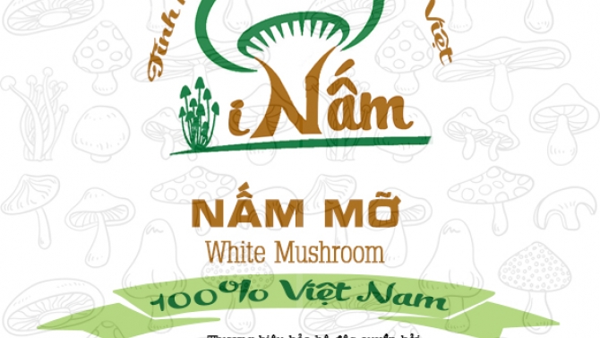 bao b&igrave; nấm mỡ