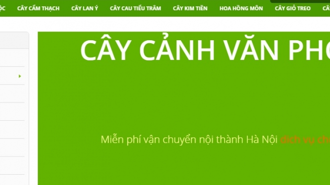 caycanhvanphong.vn