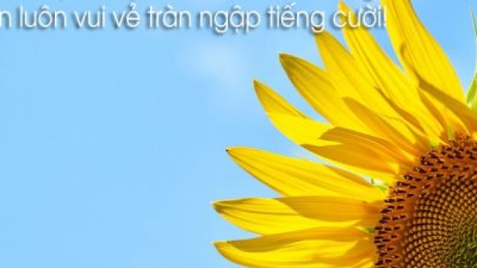 đ&aacute;nh văn bản