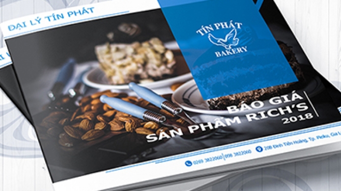 thiết kế catalogue