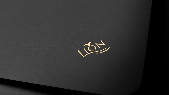 PROJECT LION JEWELRY
