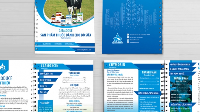 Thiết kế catalogue giới thiệu d&ograve;ng thuốc cho b&ograve; sữa