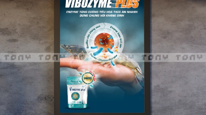 Thiết kế bao b&igrave; & truyền th&ocirc;ng sản phẩm VIBOZYME plus