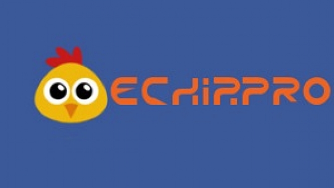 Dịch v&agrave; viết b&agrave;i cho website echip.pro