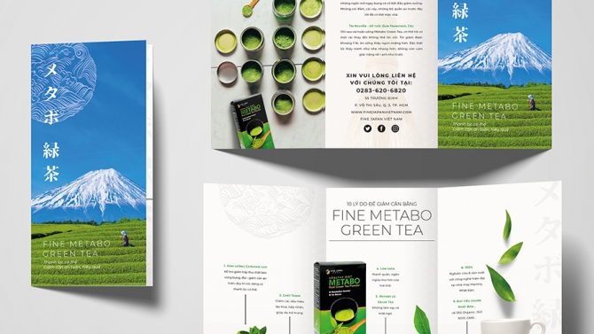 Thiết Kế Brochure