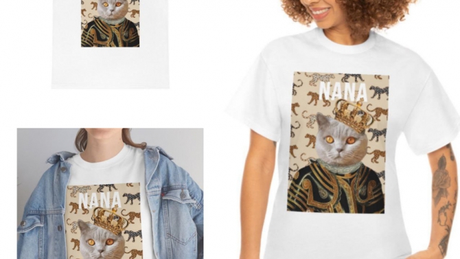 T-shirt/Hoodie design
