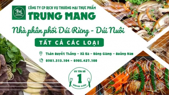Thiết kế ảnh b&igrave;a cho C&ocirc;ng ty thực phẩm Trung Mang