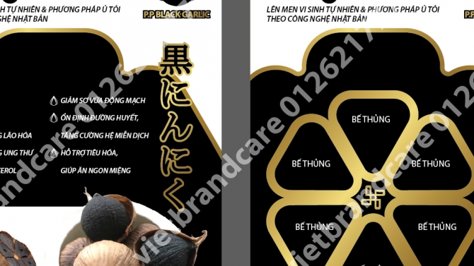 Thiết kế nh&atilde;n hiệu tỏi đen Nhật Bản