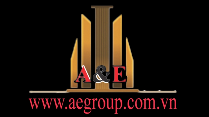 Dự &aacute;n website aegroup.com.vn