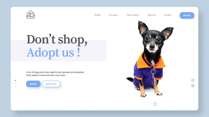 Pet Adoption Platform
