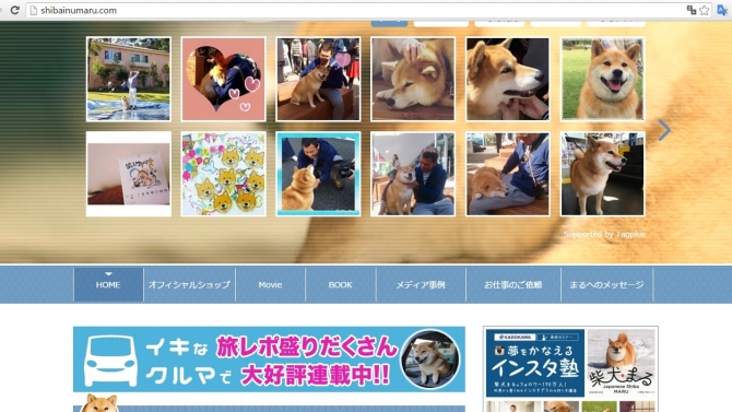 shibainumaru website tin tức