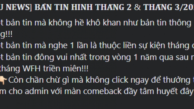 Thiết kế content bản tin nội bộ