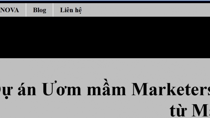Thiết kế Website