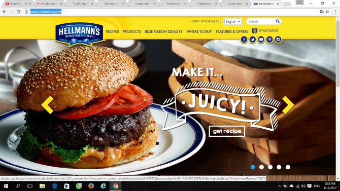Web site developer