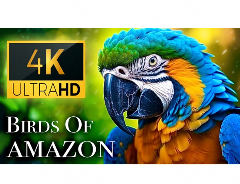 Thiết kế Thumbnail
