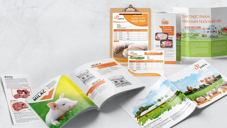 Thiết kế Brochure, Flyer...